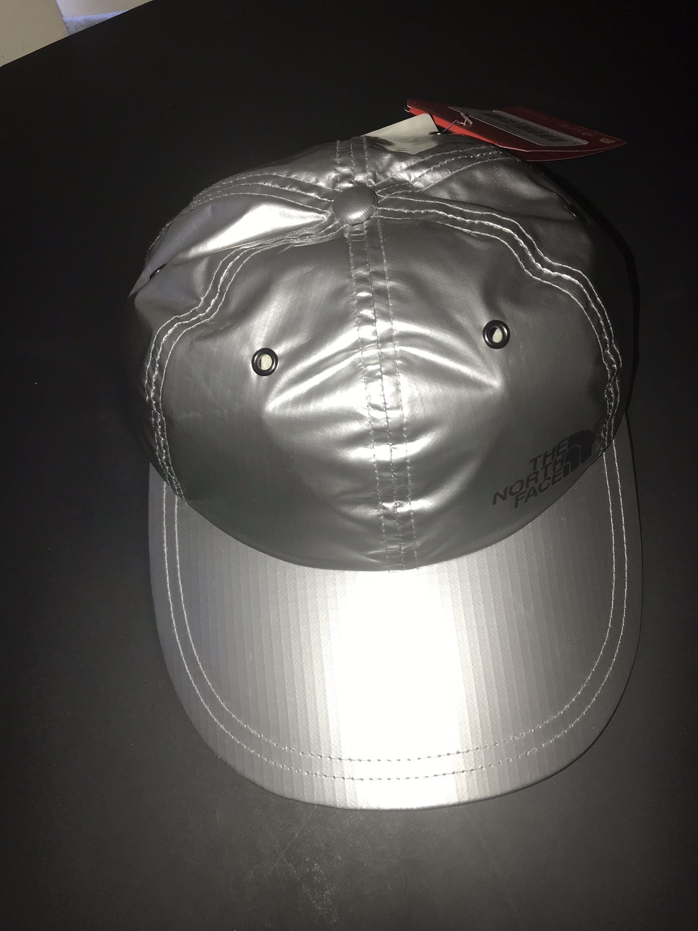 Supreme North Face Cap Hat Silver