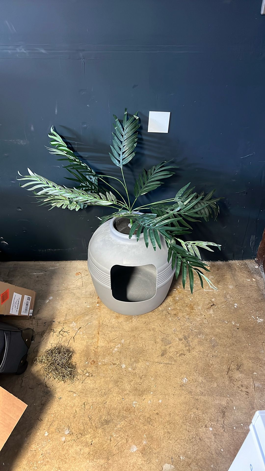 Cat Litter Box