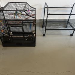 Newer Bird Cage