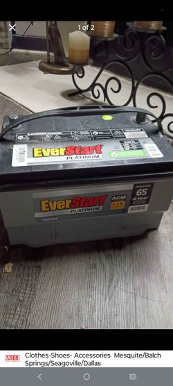 Everstart Platinum Battery 12v