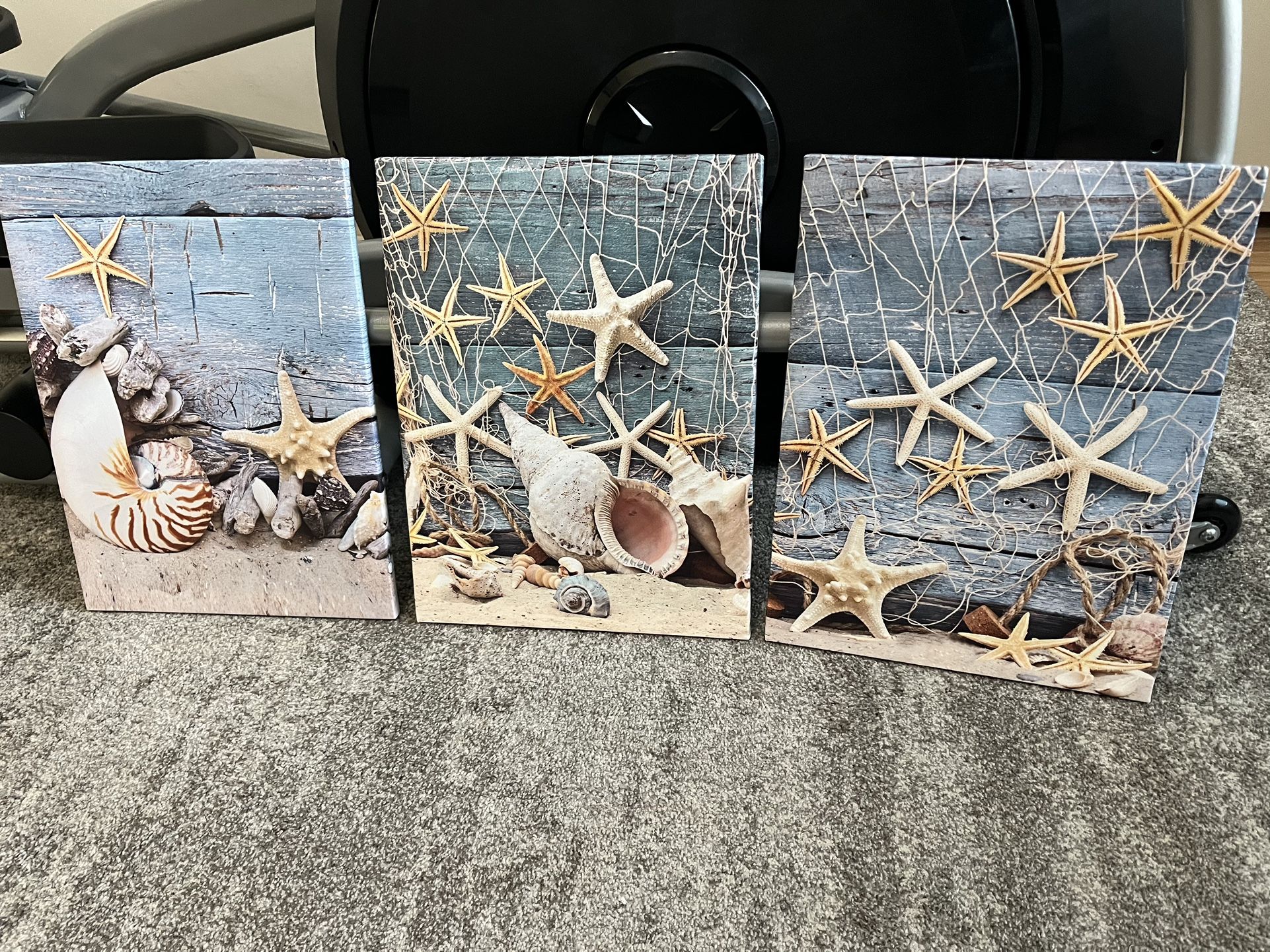 Canvas Prints, Set Of 3