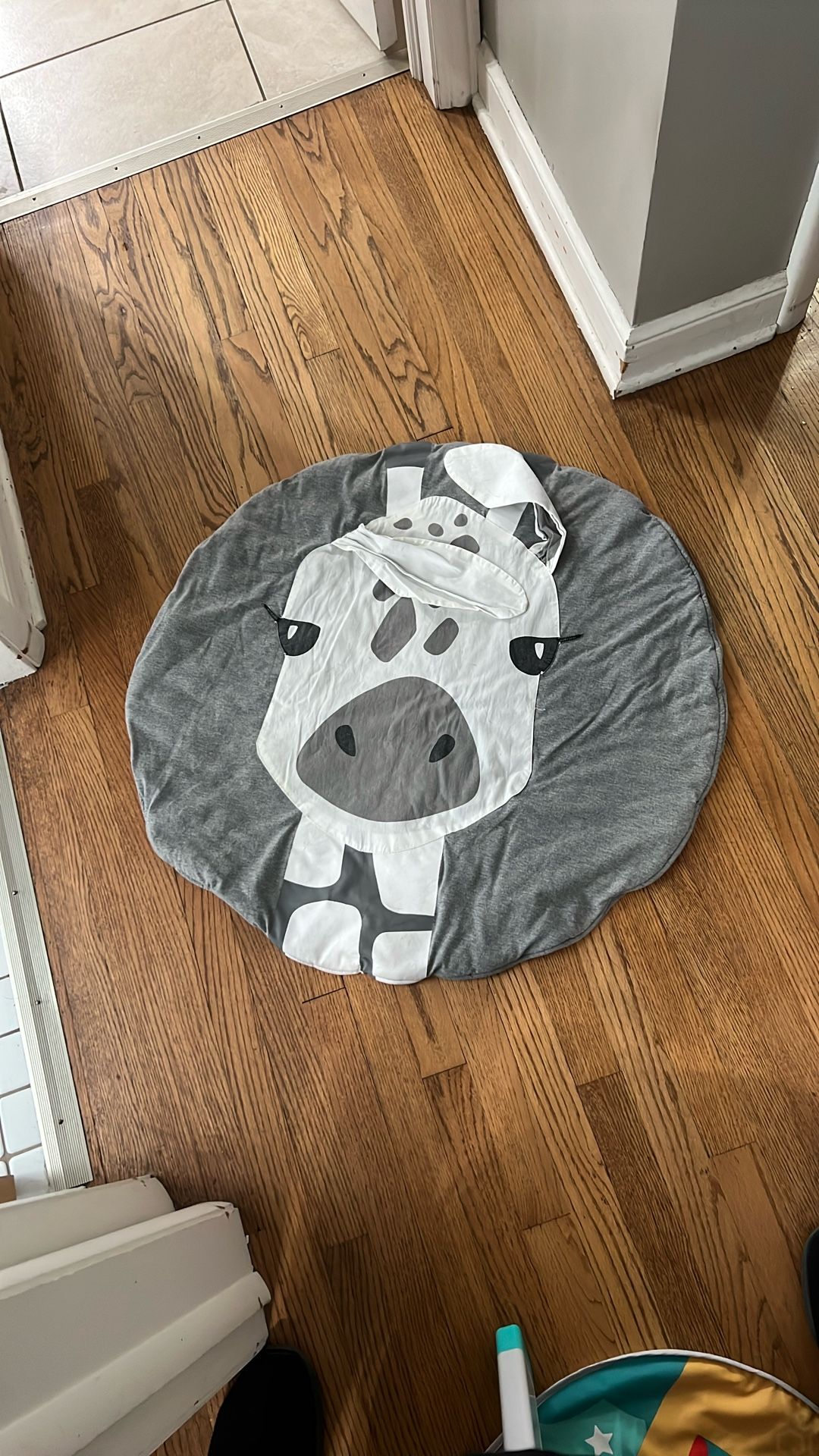 Baby Play Mat