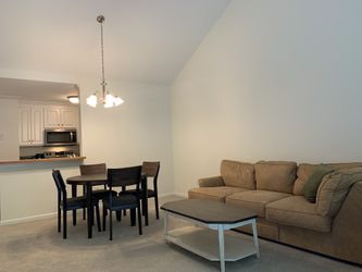 Large Suede couch