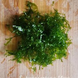 Subwassertang Moss