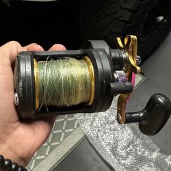 daiwa saltist bg 30h