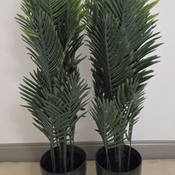 *** REDUCED *** PAIR of 52" Areca Palms in 11" Green Resin Planters @ Lasting Creations