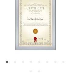 11x17 SnapeZo Snap Edge Frames Professional (18 frames)