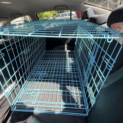 Baby Blue Large Dog Crate 