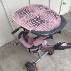Toddler Girl Tricycle 