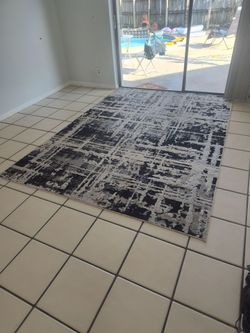 $65 Large rug..needs a regular cleaning .good for entrance to pool