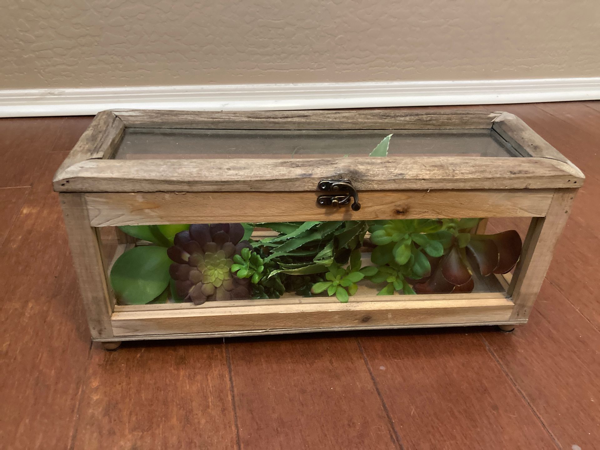 Wood and glass Terrarium