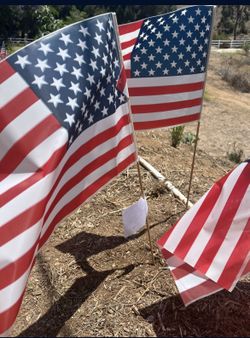 American Flags