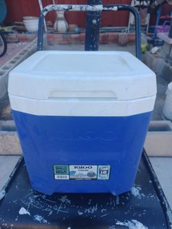 Igloo cooler