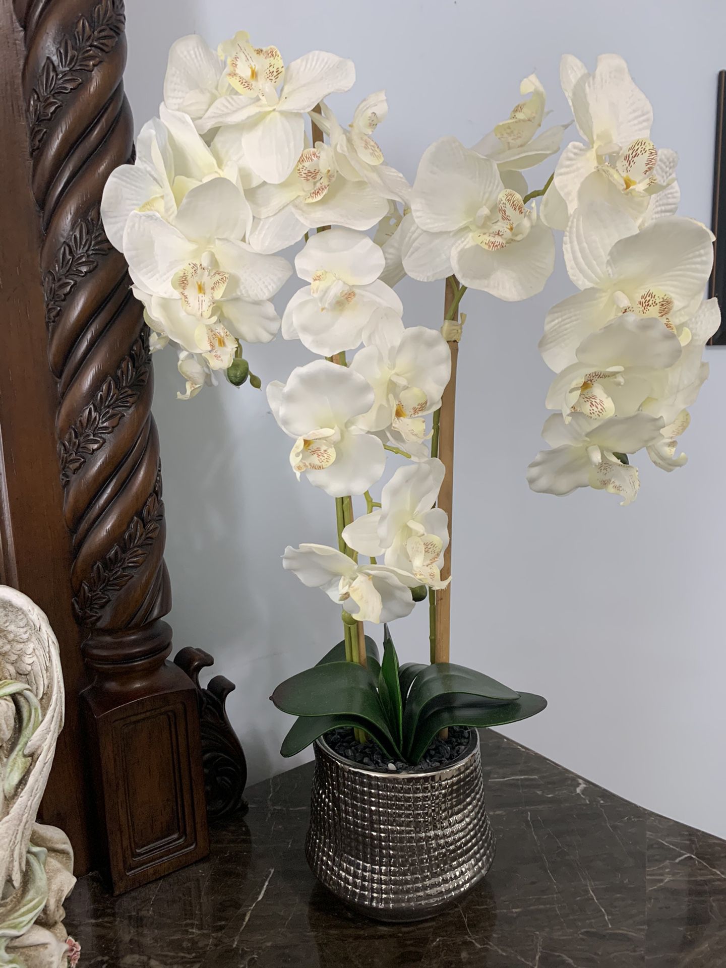 White silk orchid plant
