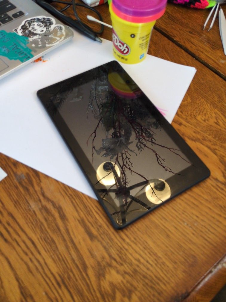 Amazon Fire Tablet!