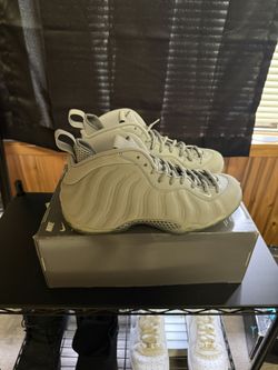Wolf Grey Foamposite Size 9