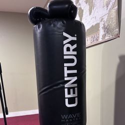 Century Wavemaster Punching Bag