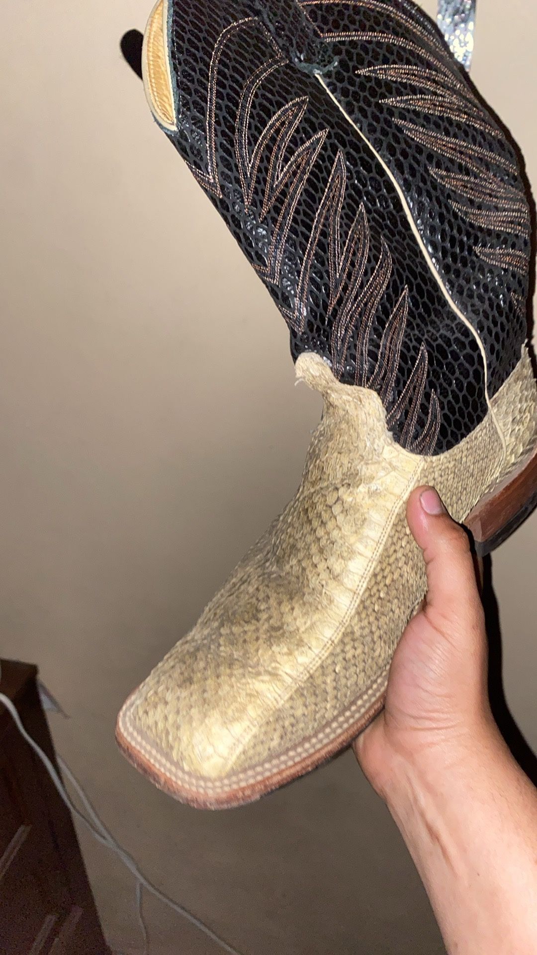 anderson bean rattlesnake