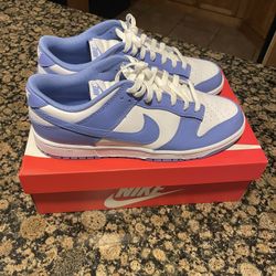 Nike Dunks Polar Blue