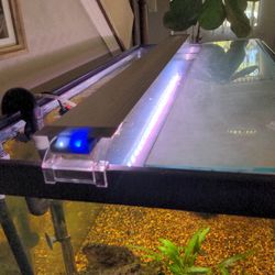 Finnex Planted + Aquarium Light