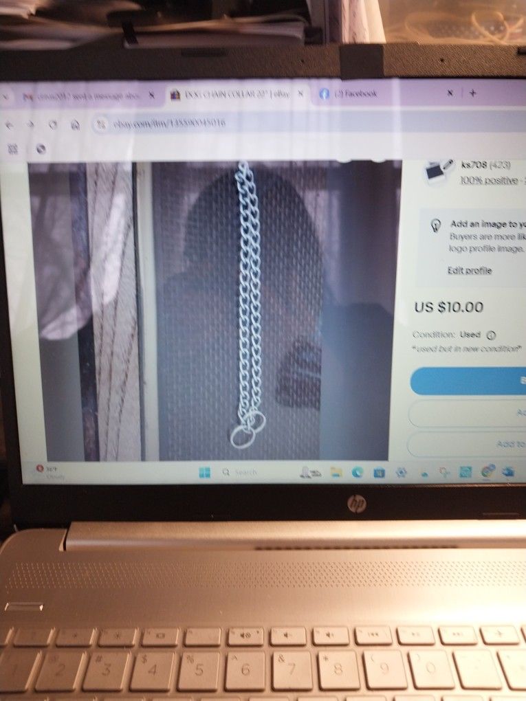 Dog Chain Collar