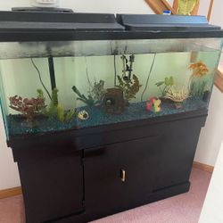 Fish Tank 55 Gallon 