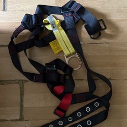 Harness 