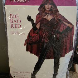Big Bad Red Women's Costume