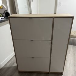 SHOES SHOE CABINET 3 TILTING DOORS AND 2 LAYERS+1 DOOR