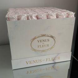 Venus et Fleur pink Roses 