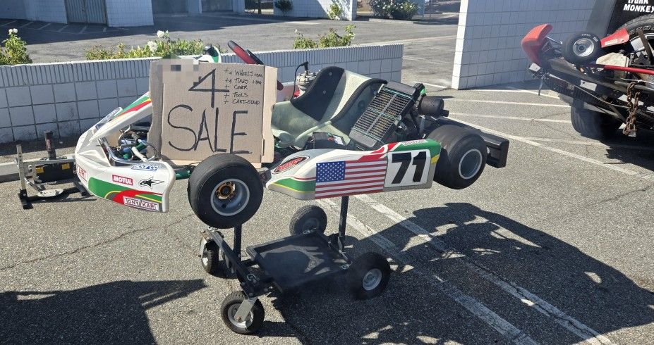 2008 TonyKart Shifter