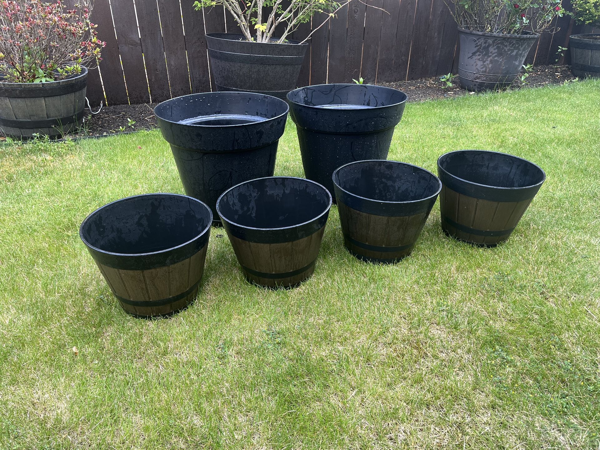 Lot of flower pots