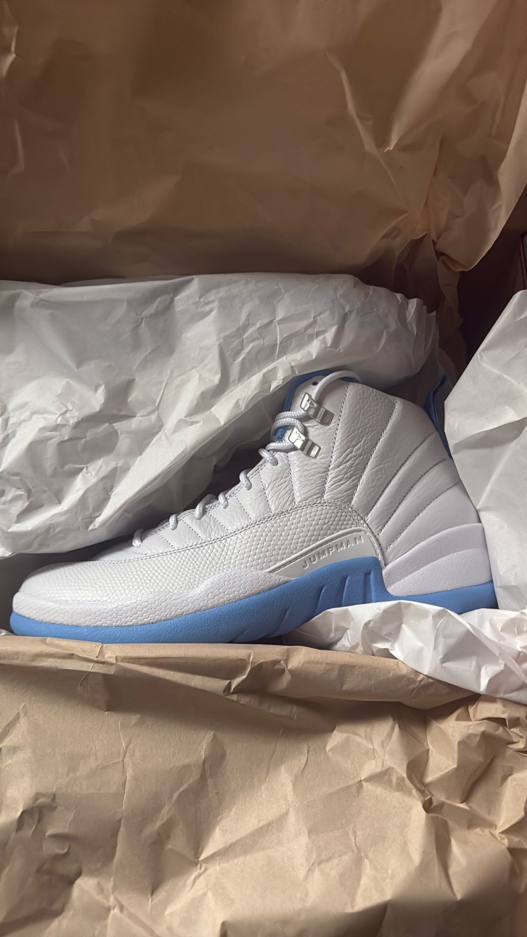Jordan 12 “melo”