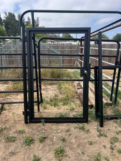 Steel door