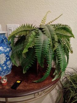 Faux plant