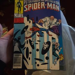 Peter Parker The Spectacular Spider-Man 