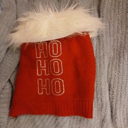 Christmas Costume For Dog