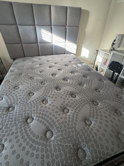 Brand New Mattress And Bedframe (never Used )