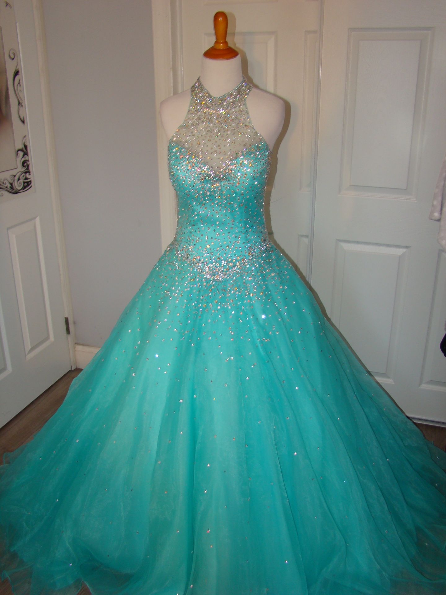 Quinceañera/ Sweet 16 Dress 