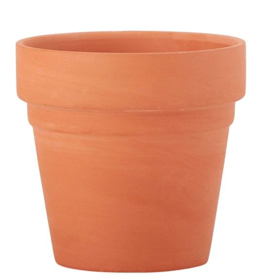 Plant Pot 