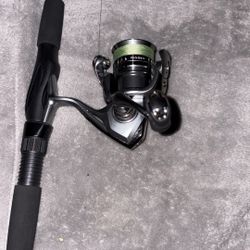 Nasci 500 & Shogun Diawa Pole