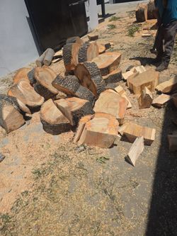 Free  firewood