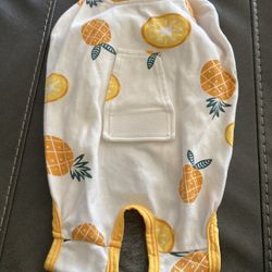 Pineapple Dog Recovery Suit Size M