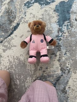 Pink NASA Teddy Bear