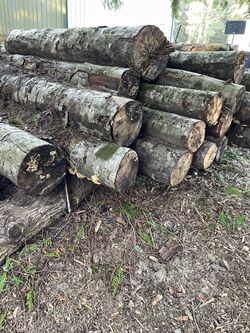 FS: Alder Logs Tree Firewood