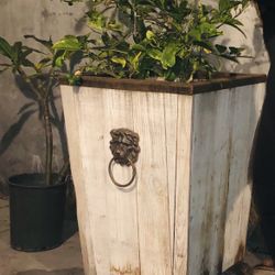 6 Amazing Restoration Hardware Lion planters 