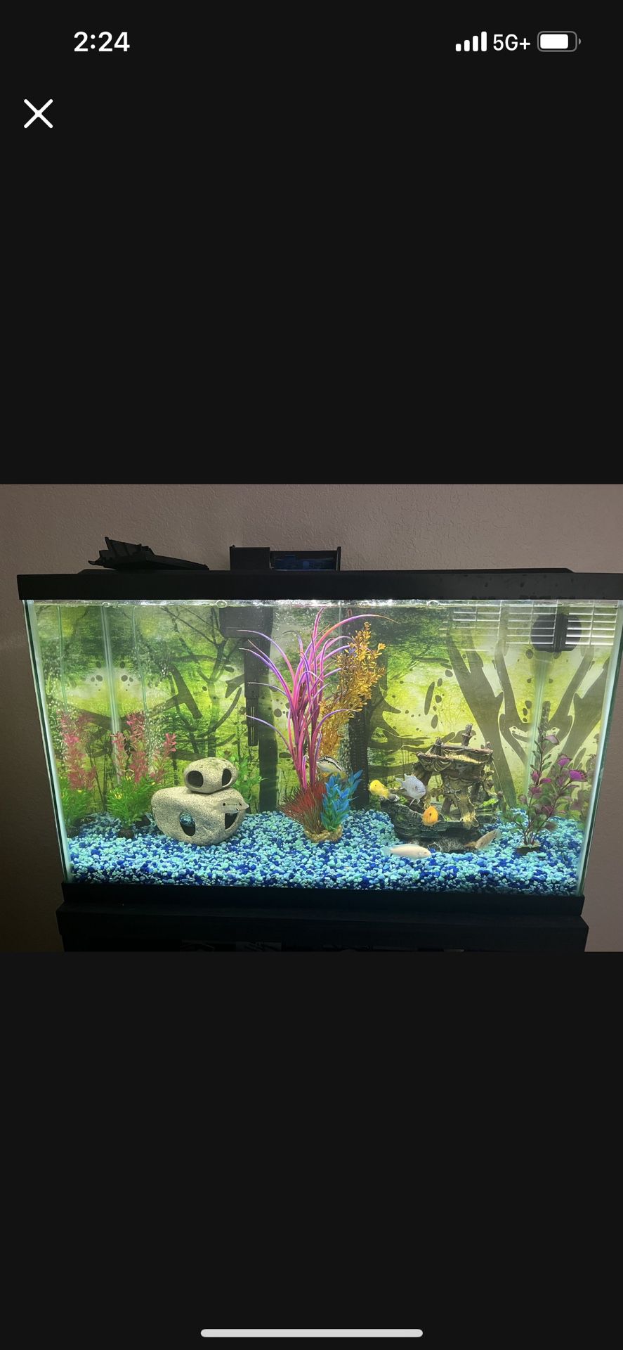 30 Gal Fish Tank With LED Lights And Lid 