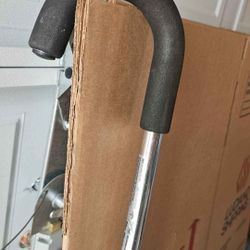 Cane