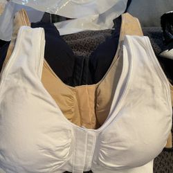 Womens Clothes 