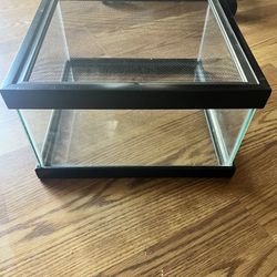 Reptile cage enclosure  Basically new. I only used it about a week before a got a bigger one  